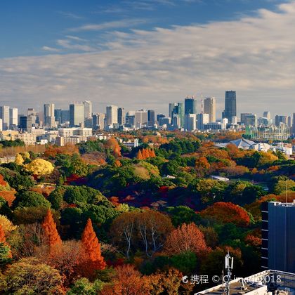 涩谷+新宿+明治神宫+新宿御苑+涩谷全向十字路口二日游