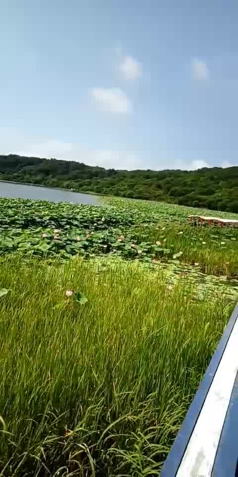 珲春防川莲花湖