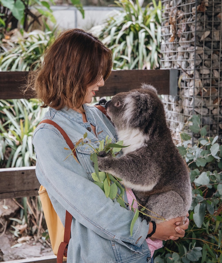澳大利亚网红动物园，听说能免费抱考拉
