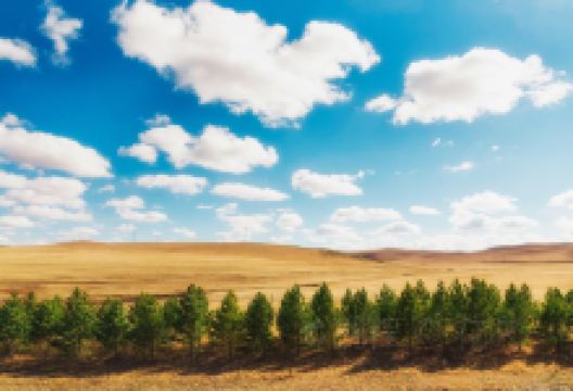 桑根达来镇旅游图片-金秋《如果有来生》，去呼伦贝尔大草原的湖边