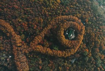 【明孝陵讲解】 全程导游 120分钟 尊享私家团 含耳麦【[导游讲师团]他们博古通今，幽默睿智，善于挖掘文物背后的故事，用有趣的方式还原历史真相；】