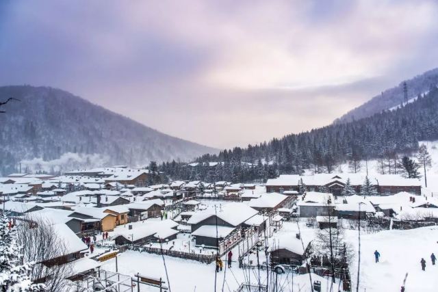 大雪時節仲冬將至,你的家鄉下雪了嗎?