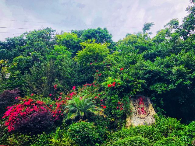 Baiyun Mountain