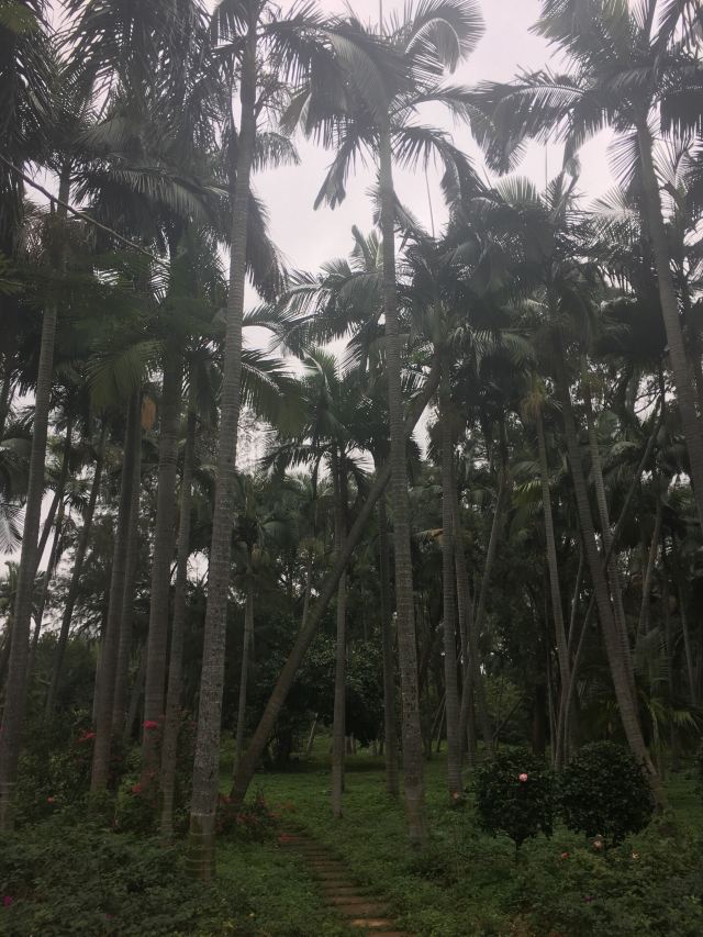 Jinniuling Park