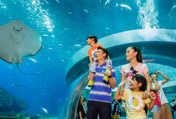 珠海海洋王国+横琴长隆《卡卡虎奇遇记》一日游【一等座】【海洋+卡卡】