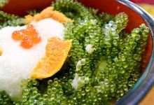 Ganso sea grapes美食图片