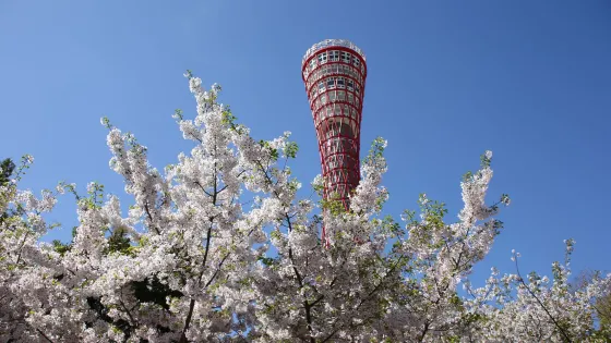 神戶港塔