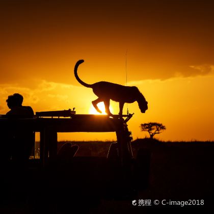 肯尼亚安博塞利+马赛马拉国家保护区+内罗毕+埃尔门泰塔10日8晚跟团游