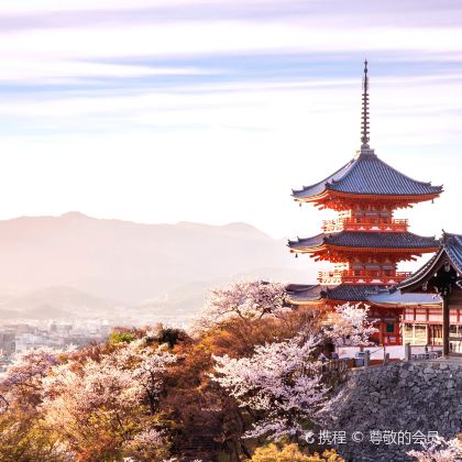 日本东京+京都+大阪7日6晚私家团