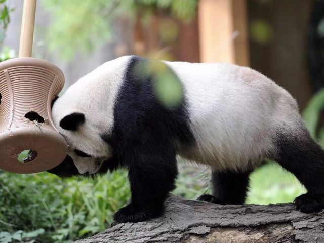 國家動物園