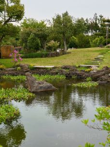 山茶花之丘-西归浦市-1