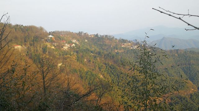 莫干山景區