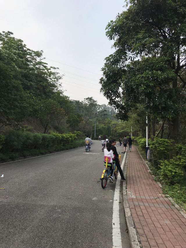 黄牛埔森林公园旅行图片 3