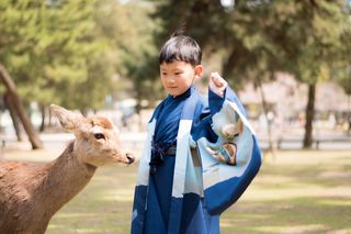 带着光哥看世界-慢行关西,一场和樱花君的甜蜜约会