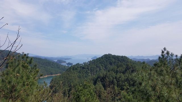 梅峰島