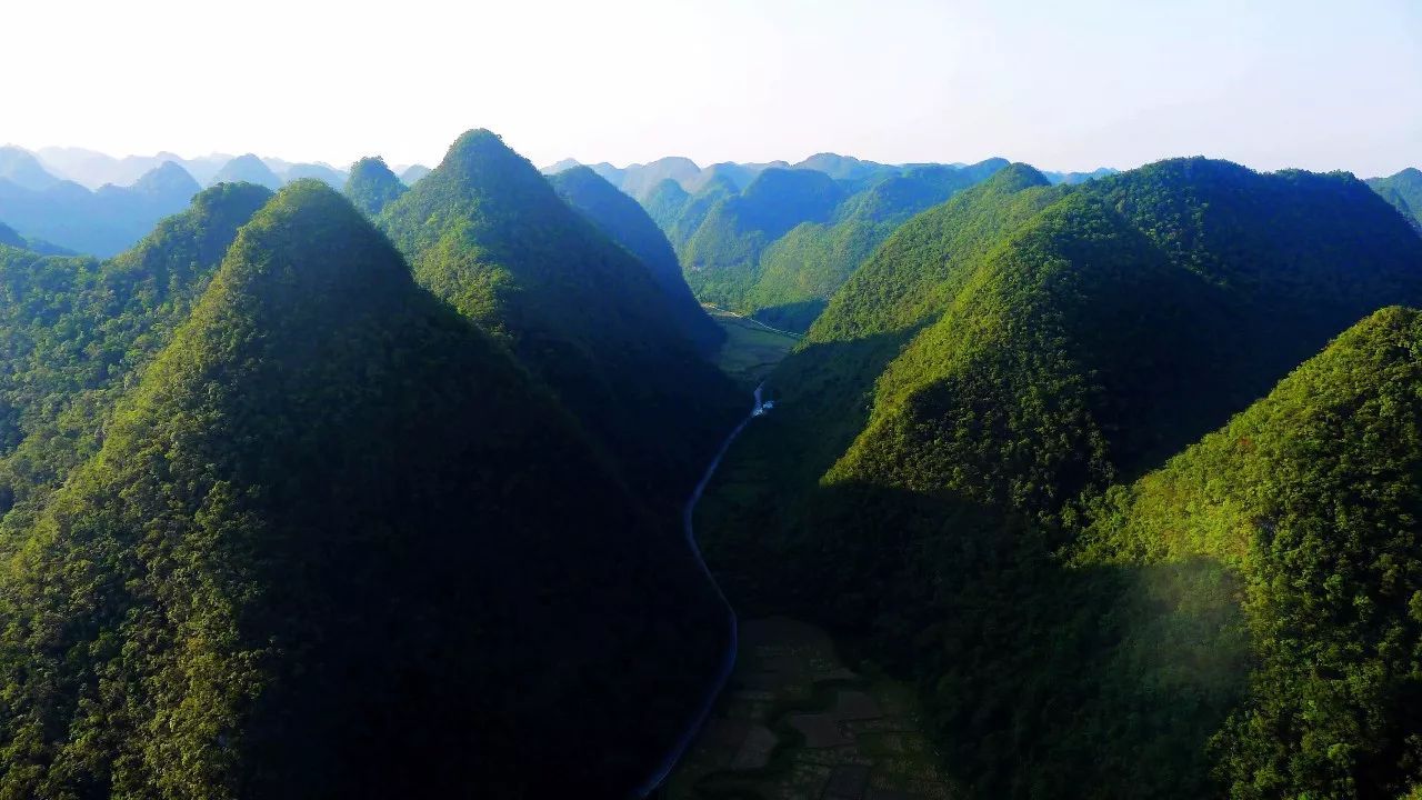 兰鼎山森林公园