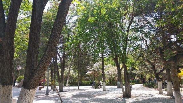 长青公园旅行图片 3