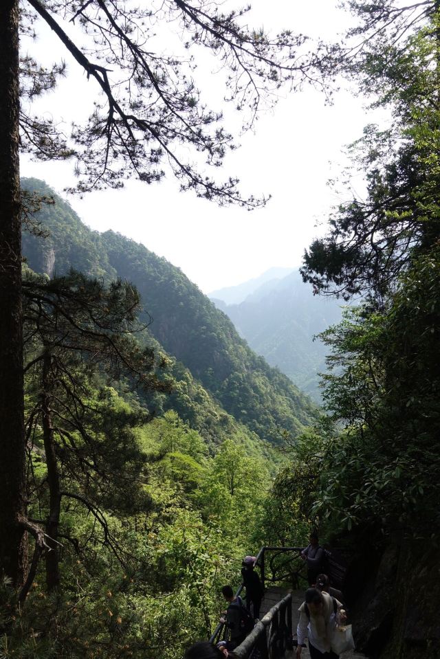 大明山景區