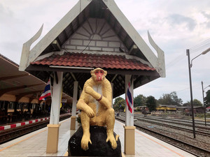 华富里游记图文-#泰国华富里# 3万元玩转泰国46天蜜月旅之猴群攻城