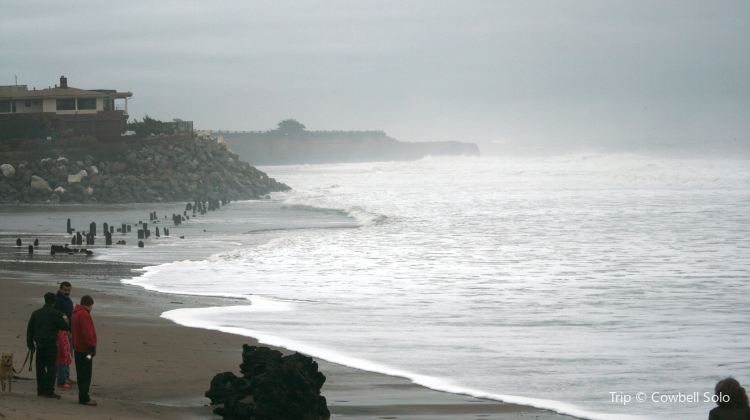 Santa Cruz Harbor Tickets Deals Reviews Family Holidays