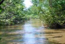 Grass River Natural Area景点图片