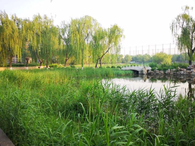 龙潭西湖公园旅行图片 3