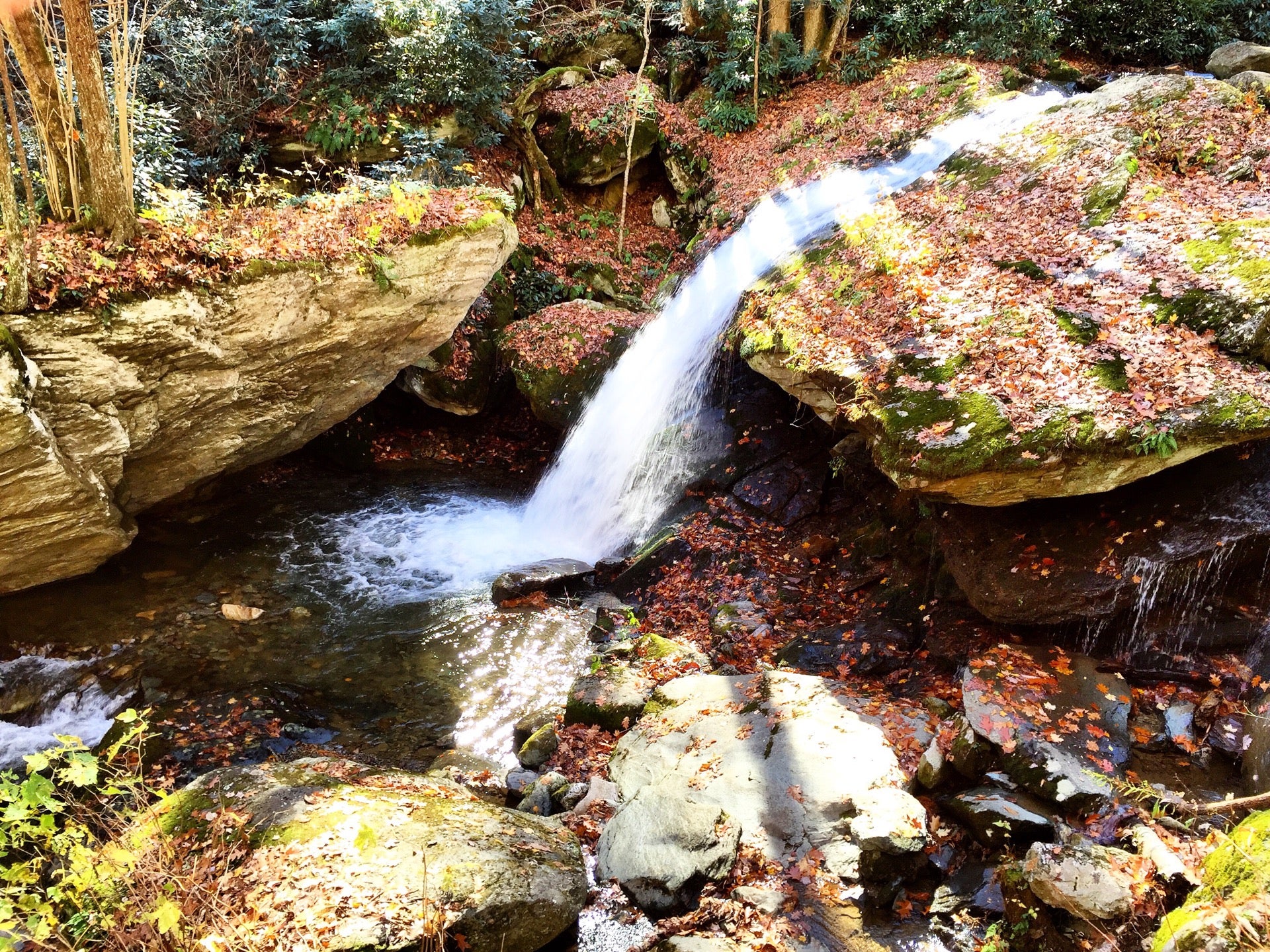 Grandfather Trout Farm Travel Guidebook Must Visit Attractions In