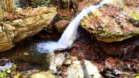 Grandfather Trout Farm Travel Guidebook Must Visit Attractions In