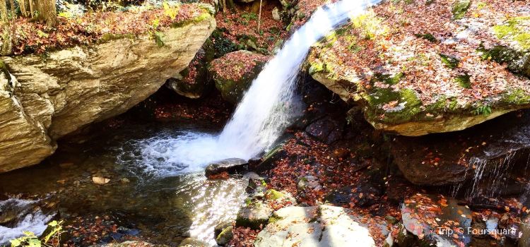 Otter Falls Travel Guidebook Must Visit Attractions In Seven