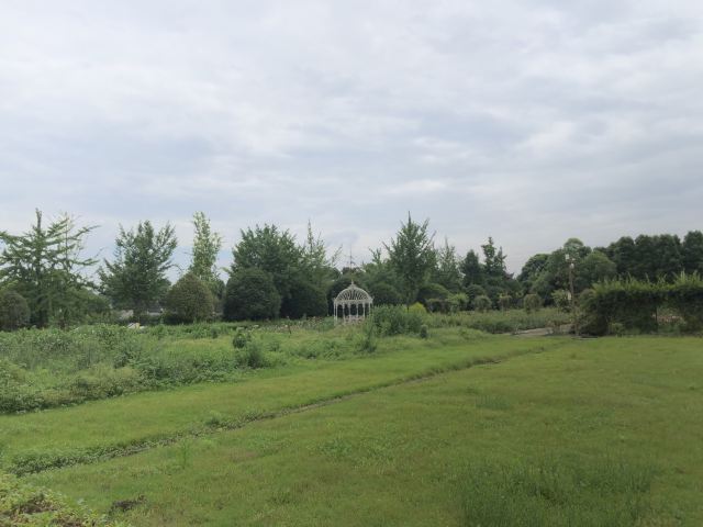 成都温江天香玫瑰缘旅行图片 9