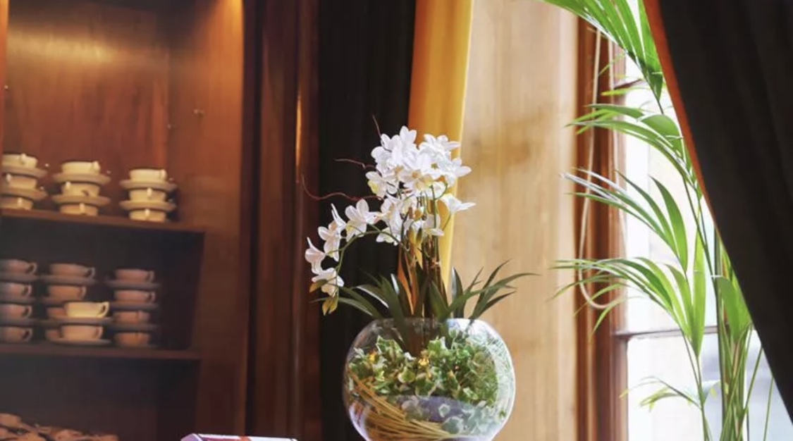 Sol y Sombra Tapas Bar餐厅图片