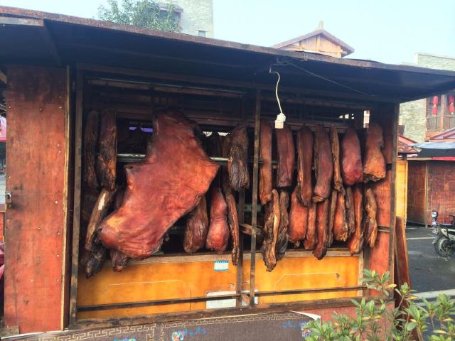 北川公园旅行图片 5