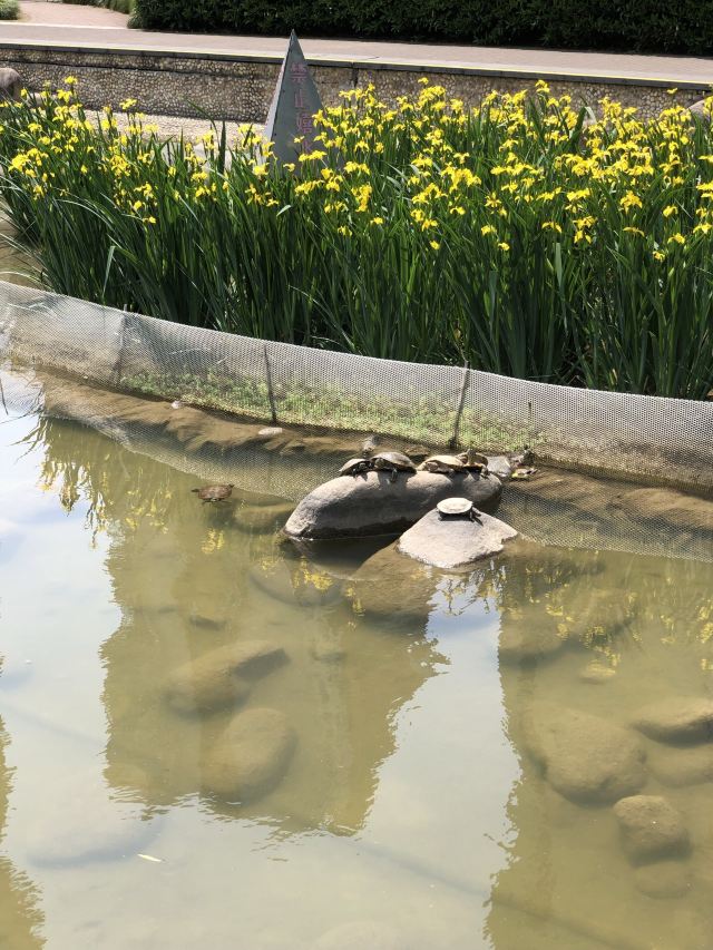 祥和公园旅行图片 3