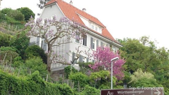 Schelztorturm Travel Guidebook Must Visit Attractions In