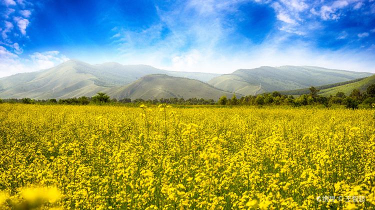 7-day 6-night · Private Tour · China + Inner Mongolia + Heilongjiang + Hulunbuir + Harbin Sophia Square + Hulunbuir Grasslands