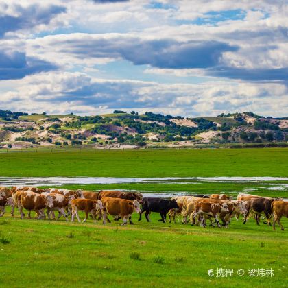 木兰围场+乌兰布统旅游区+坝上2日1晚自由行