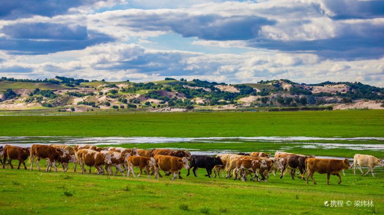 3-day 2-night · Private Tour · China + Inner Mongolia + Chifeng + Wulanbutong Steppe Tourist Area + Mulan Weichang (“Hunting Ground”)
