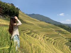 桂林游记图片] 金秋十月的桂林，随意踏进在每一幅山水画(桂林阳朔龙脊5天游)