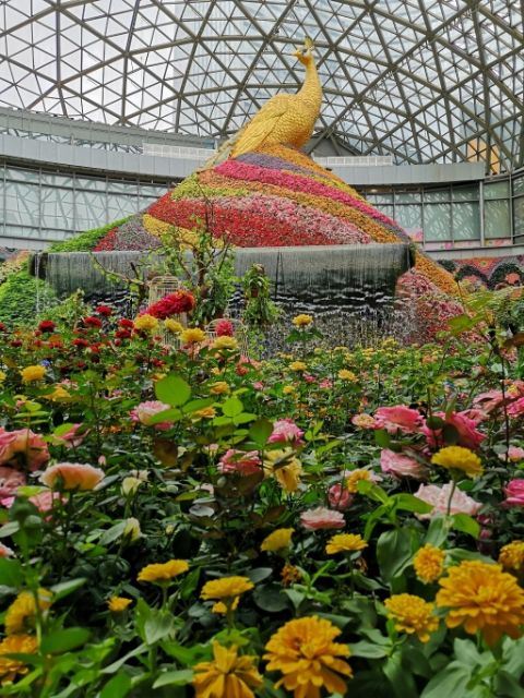 花之城