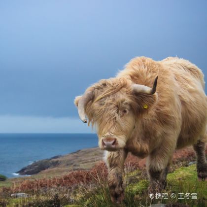 爱丁堡+苏格兰高地3日2晚私家团