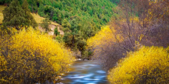 北山國家森林公園