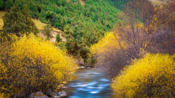北山國家森林公園
