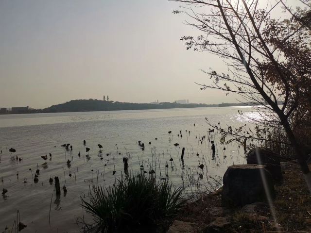 岭南公园旅行图片 2