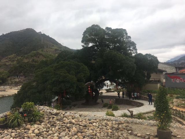 嵩口古镇旅行图片 1