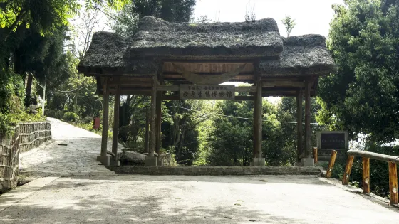 六枝梭嘎長角苗