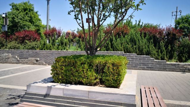金中都城墙遗址公园旅行图片 3