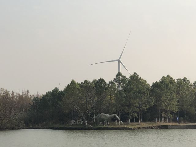 上海滨海森林公园旅行图片 1