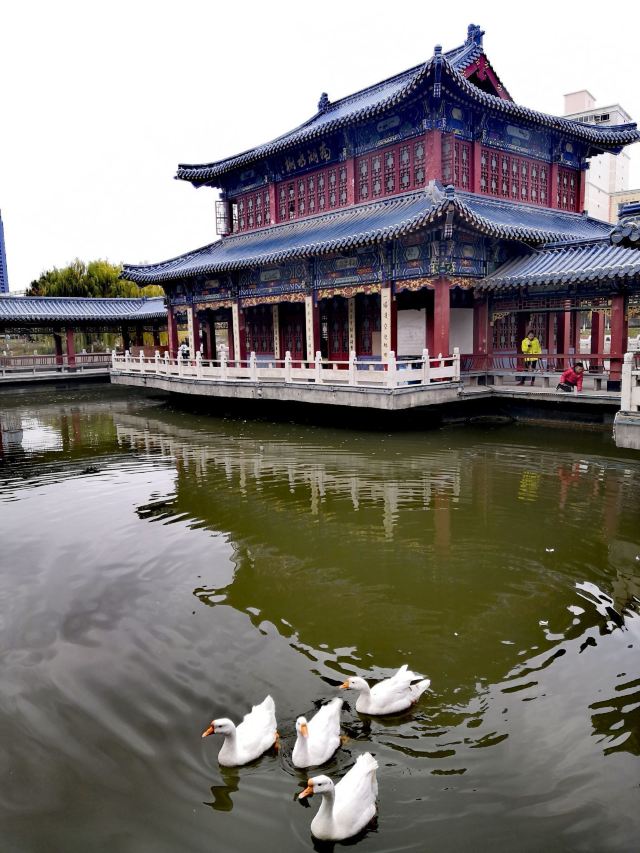 雁滩公园旅行图片 1