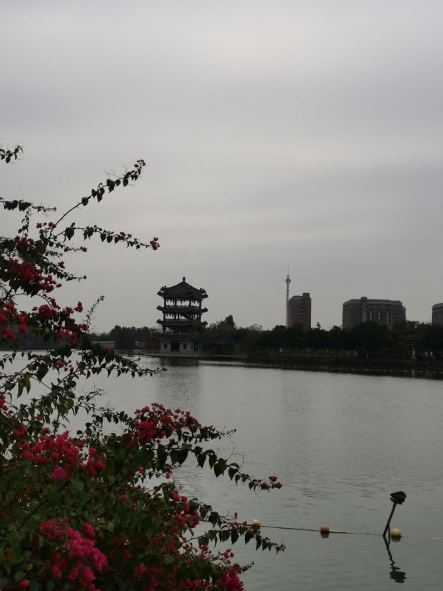 华阳湖国家湿地公园旅行图片 11