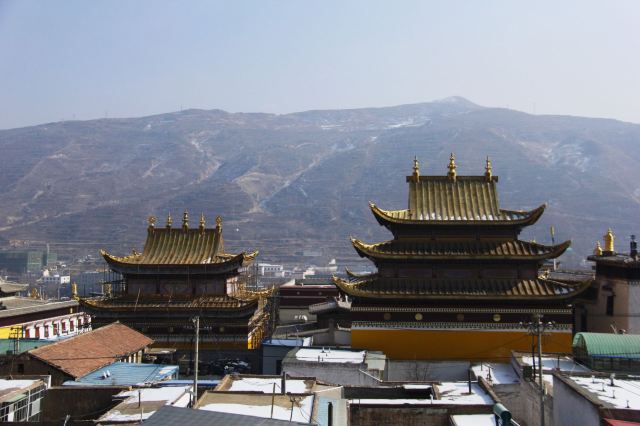 隆務寺